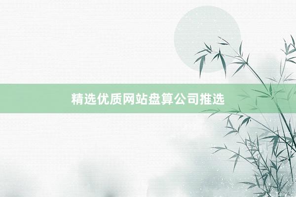 精选优质网站盘算公司推选